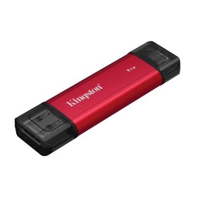 Kingston Dual Portable 1 TB (SPSD1TB)